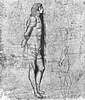 PICS/antonello2.jpg