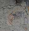 PICS/celle-macra1_det.jpg
