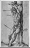 PICS/durer_d1.jpg
