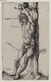 PICS/durer_d1_mfa.jpg