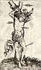 PICS/schongauer.1485.jpg