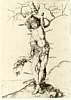 PICS/schongauer.1490.jpg