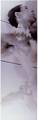 PICS/velver.jpg